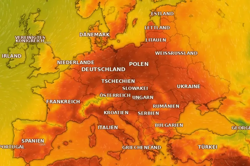 Rekord-Temperaturen 2026: Unsere Blumenautomaten – speziell entwickelt für den Außeneinsatz bei Extrem-Temperaturen